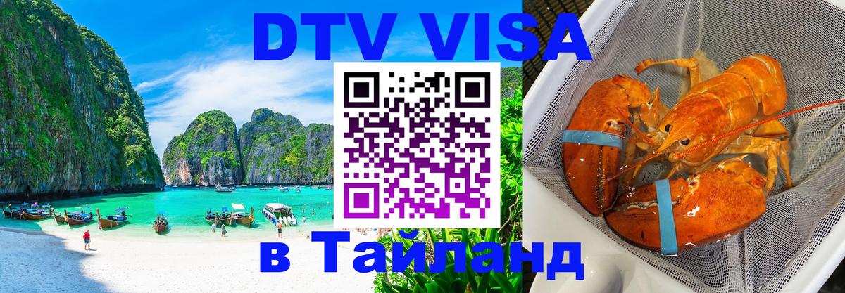 Visa ДТВ Тайланд помощь Абу-Даби 